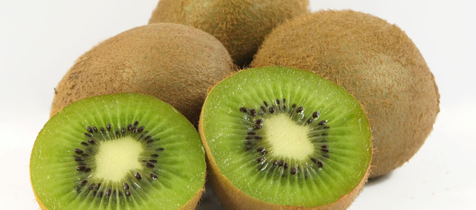 Opora kiwi